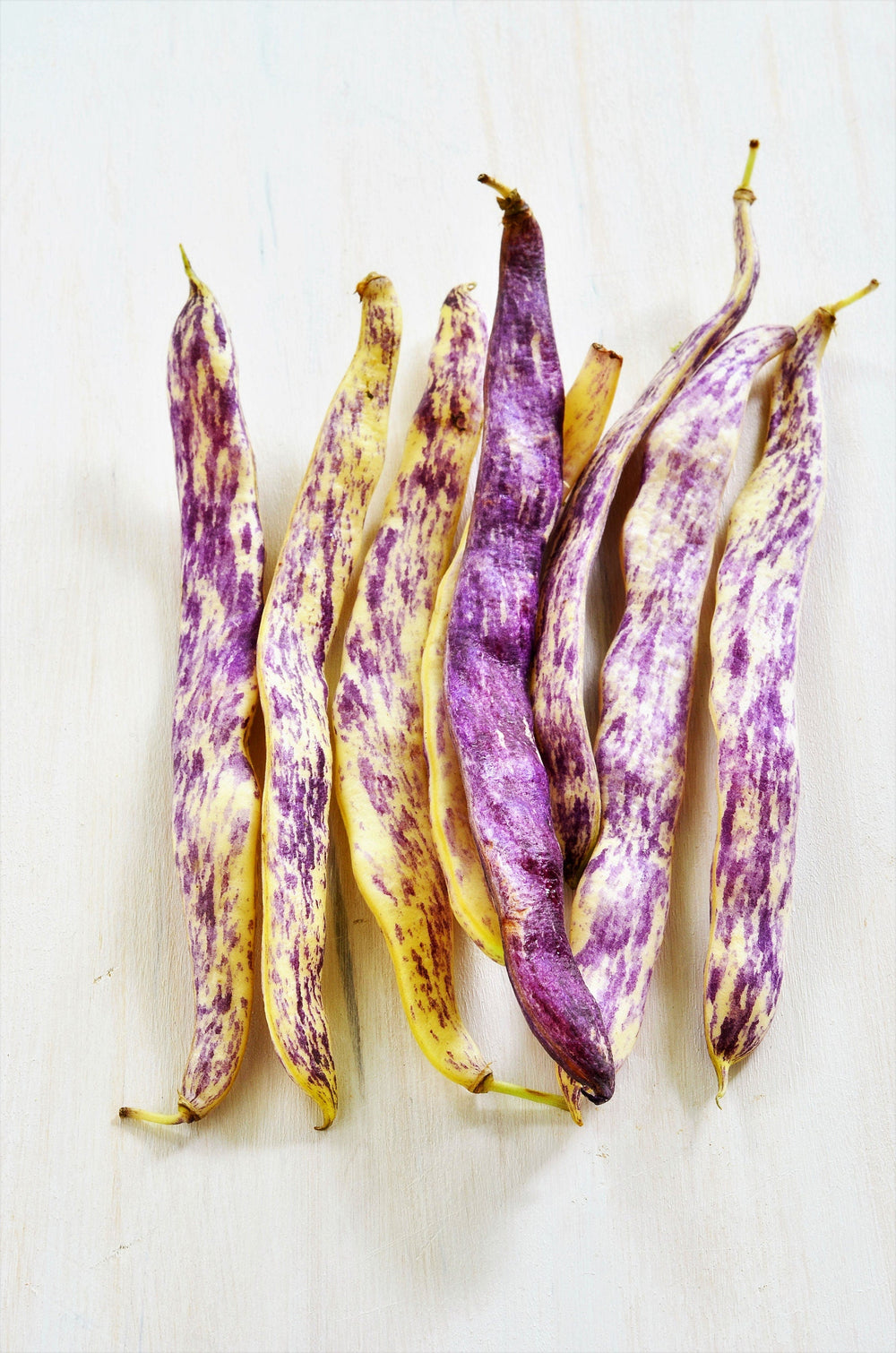 50 Dragon Tongue Wax Bean (Phaseolus Vulgaris) Seeds