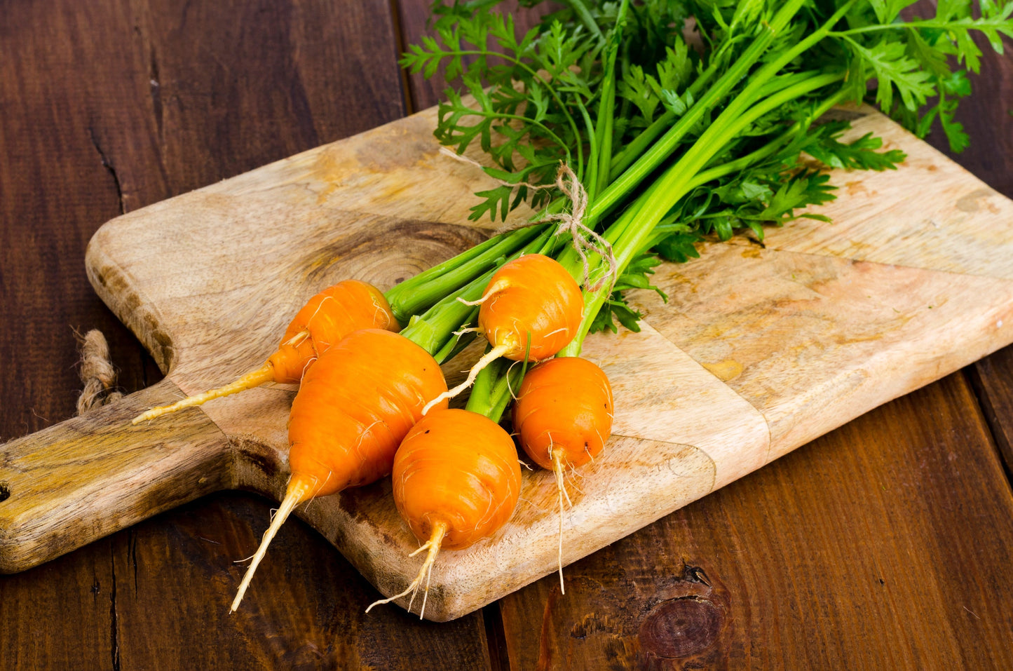 800 Parisian Carrot (Daucas Carota Sativus) Seeds