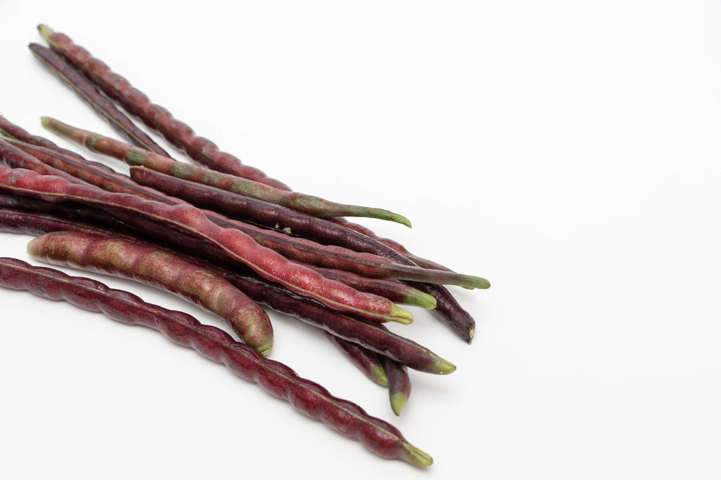 100 Red Ripper Cowpea (Vigna Unguiculata) Seeds