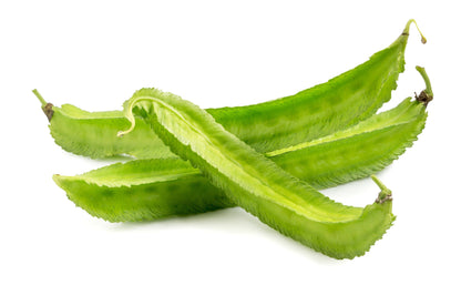 50 ASPARAGUS PEA Winged Pea Lotus Tetragonolobus Red Flower Legume Vegetable Seeds