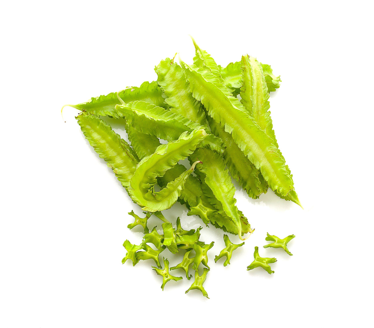 50 ASPARAGUS PEA Winged Pea Lotus Tetragonolobus Red Flower Legume Vegetable Seeds