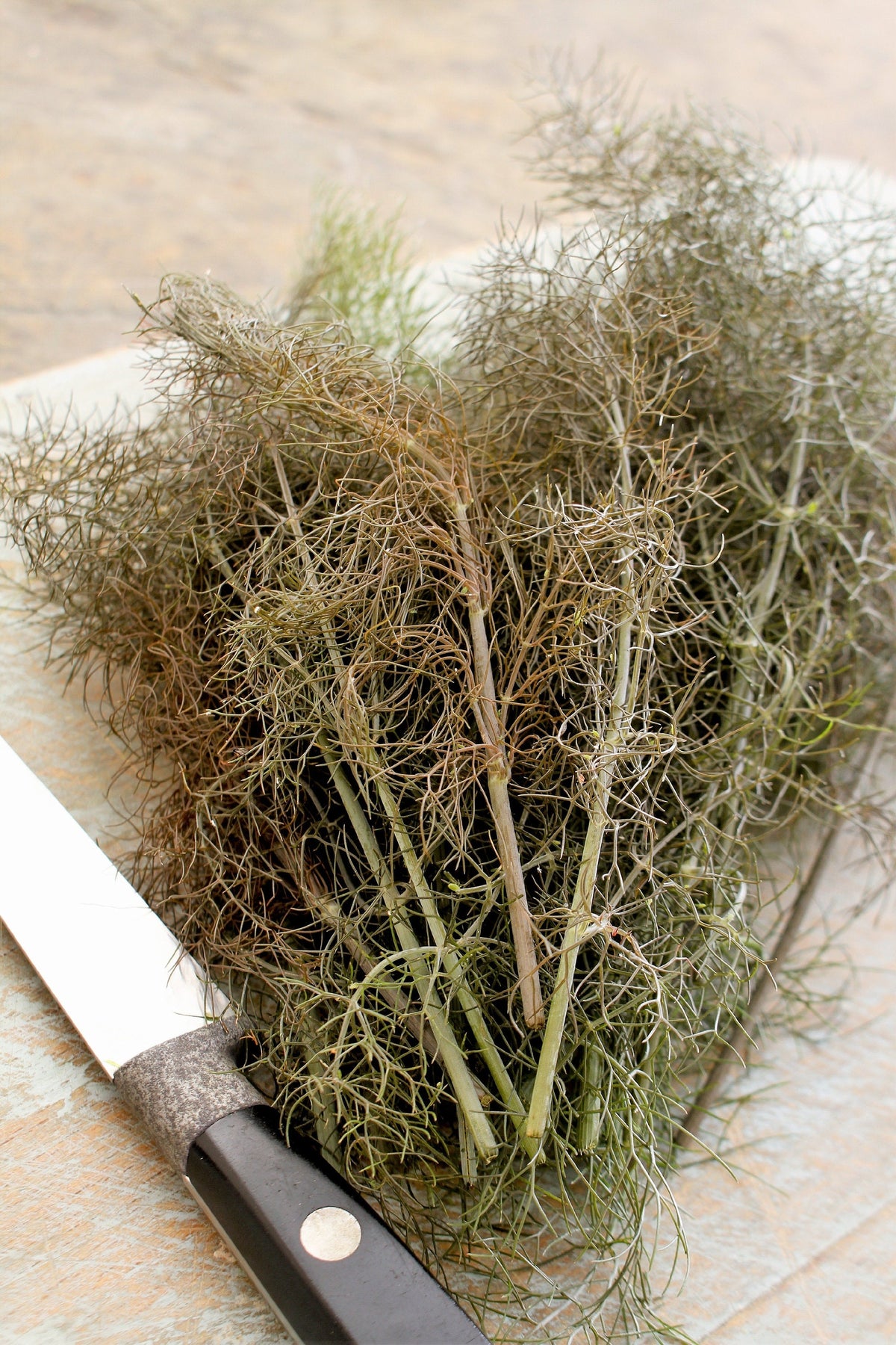 Organic Bronze Fennel (Foeniculum vulgare 'Purpureum') Seeds – 100 ct