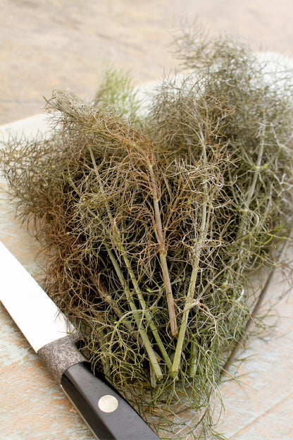 Organic Bronze Fennel (Foeniculum vulgare 'Purpureum') Seeds – 100 ct