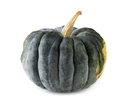 Black Futsu Squash (Cucurbita moschata) Seeds – 20 ct