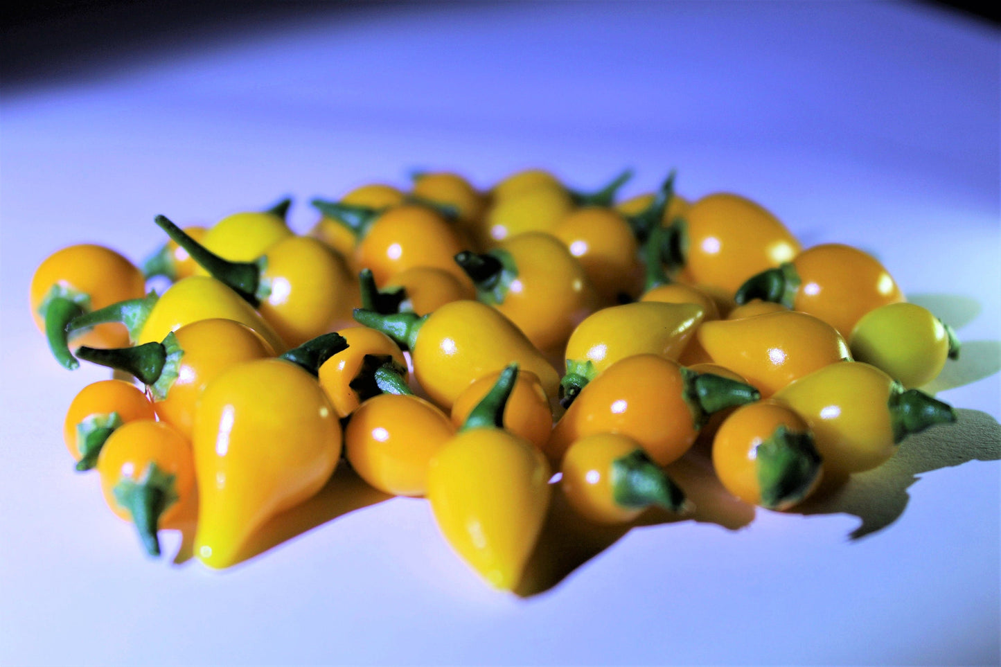 25 Yellow Biquinho Pepper Seeds