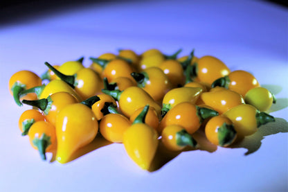 25 Yellow Biquinho Pepper Seeds