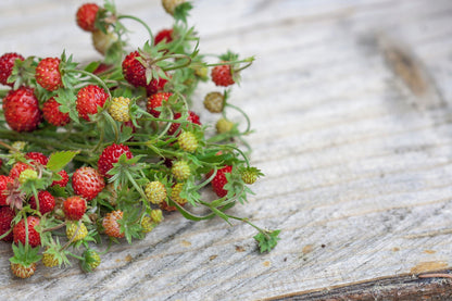 50 Alexandra Strawberry (Fragaria Vesca) Seeds