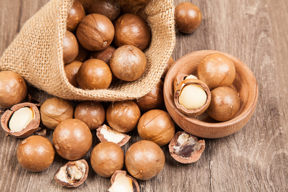 5 Macadamia Nut Tree (Macadamia Integrifolia) Seeds