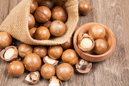 5 Macadamia Nut Tree (Macadamia Integrifolia) Seeds