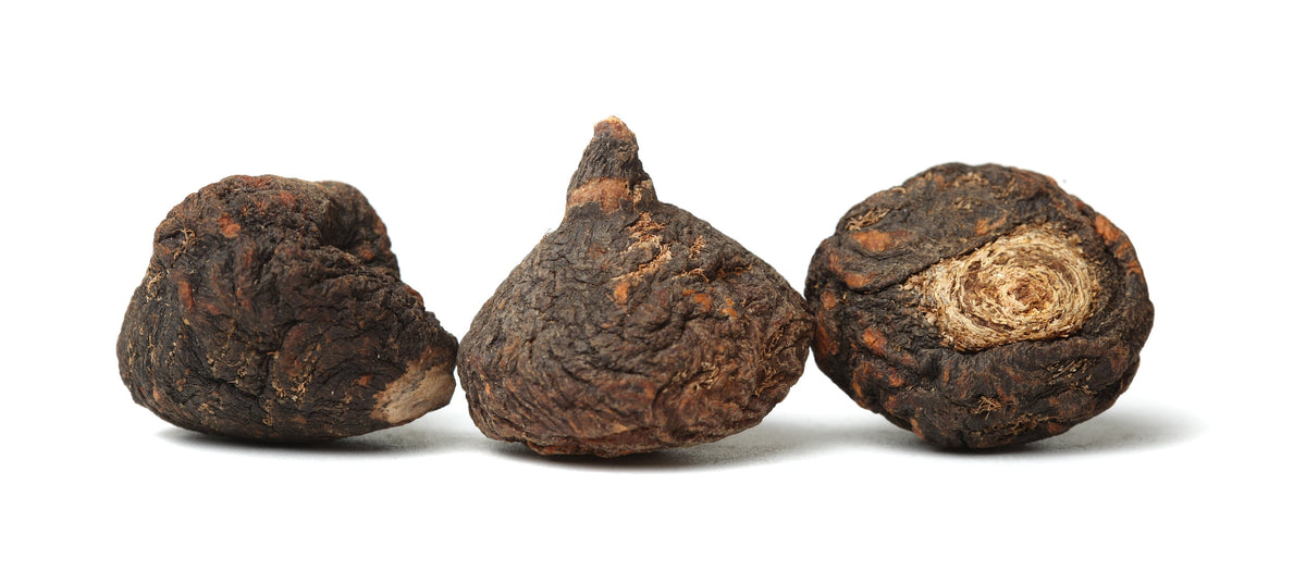 Black Maca (Lepidium meyenii) Seeds – 50 ct