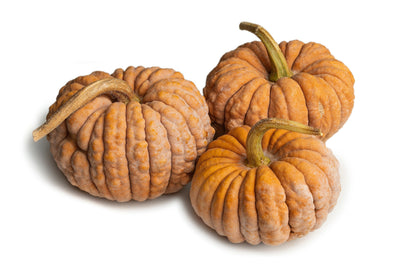 Black Futsu Squash (Cucurbita moschata) Seeds – 20 ct