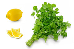 25 Dwarf Lemon Cilantro (Coriander; Coriandrum Sativum) Seeds