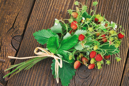 80 California Woodland Strawberry (Fragaria Vesca Bracteata) Seeds