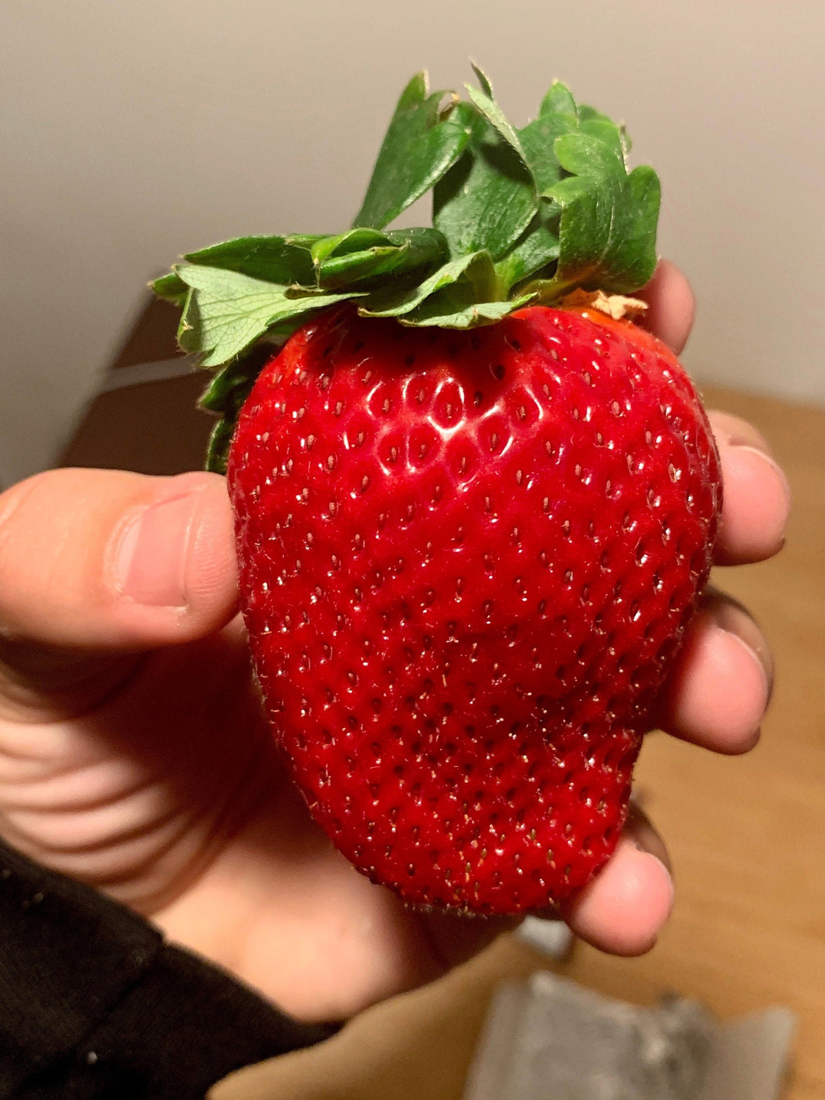 15 GIANT STRAWBERRY Fragaria spp June Bearing Huge Red Berry Fruit White Flower Seeds