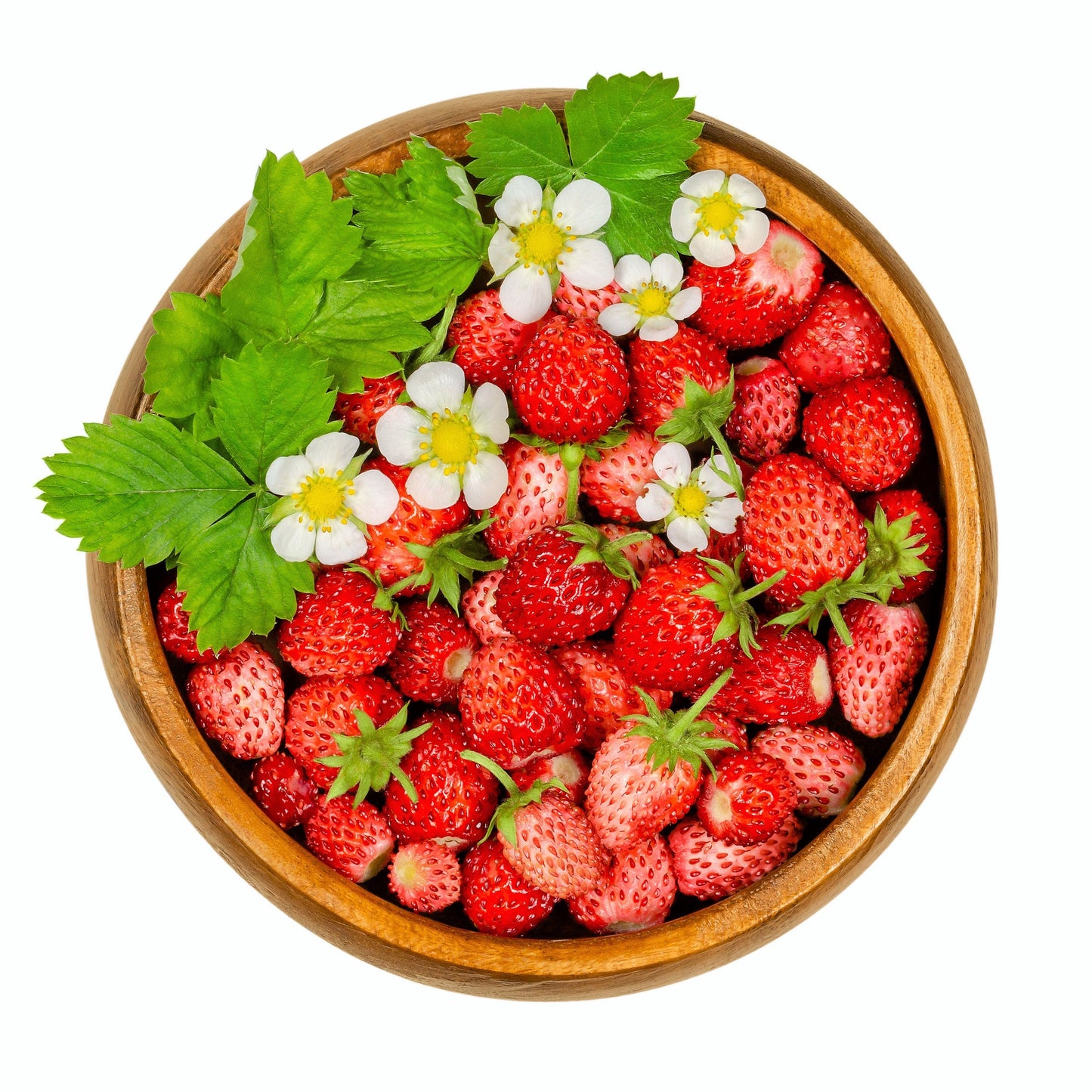50 Alexandra Strawberry (Fragaria Vesca) Seeds
