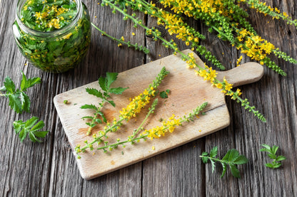 15 Common Agrimony (Agrimonia Eupatoria) Seeds