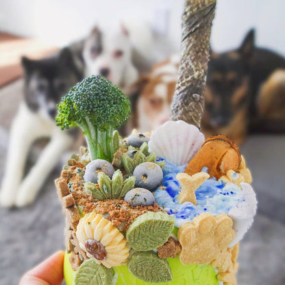 Green Lipped Mussels