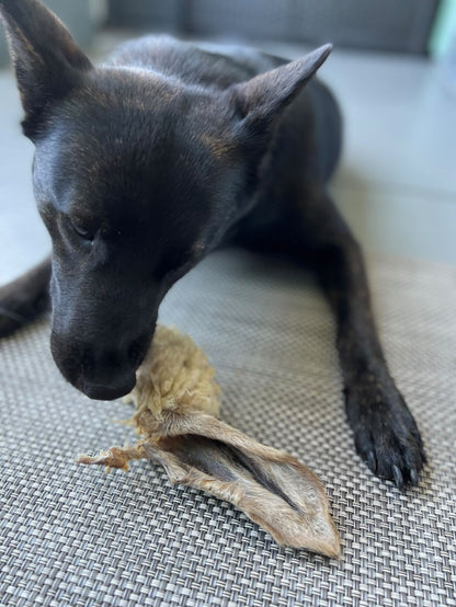 Lamb Ears (Furry & Non Fur)