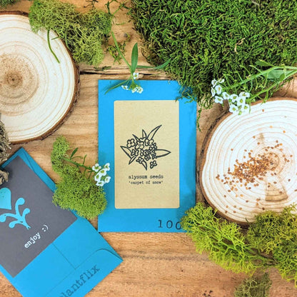 "Indoor Blooms" Seed Collection