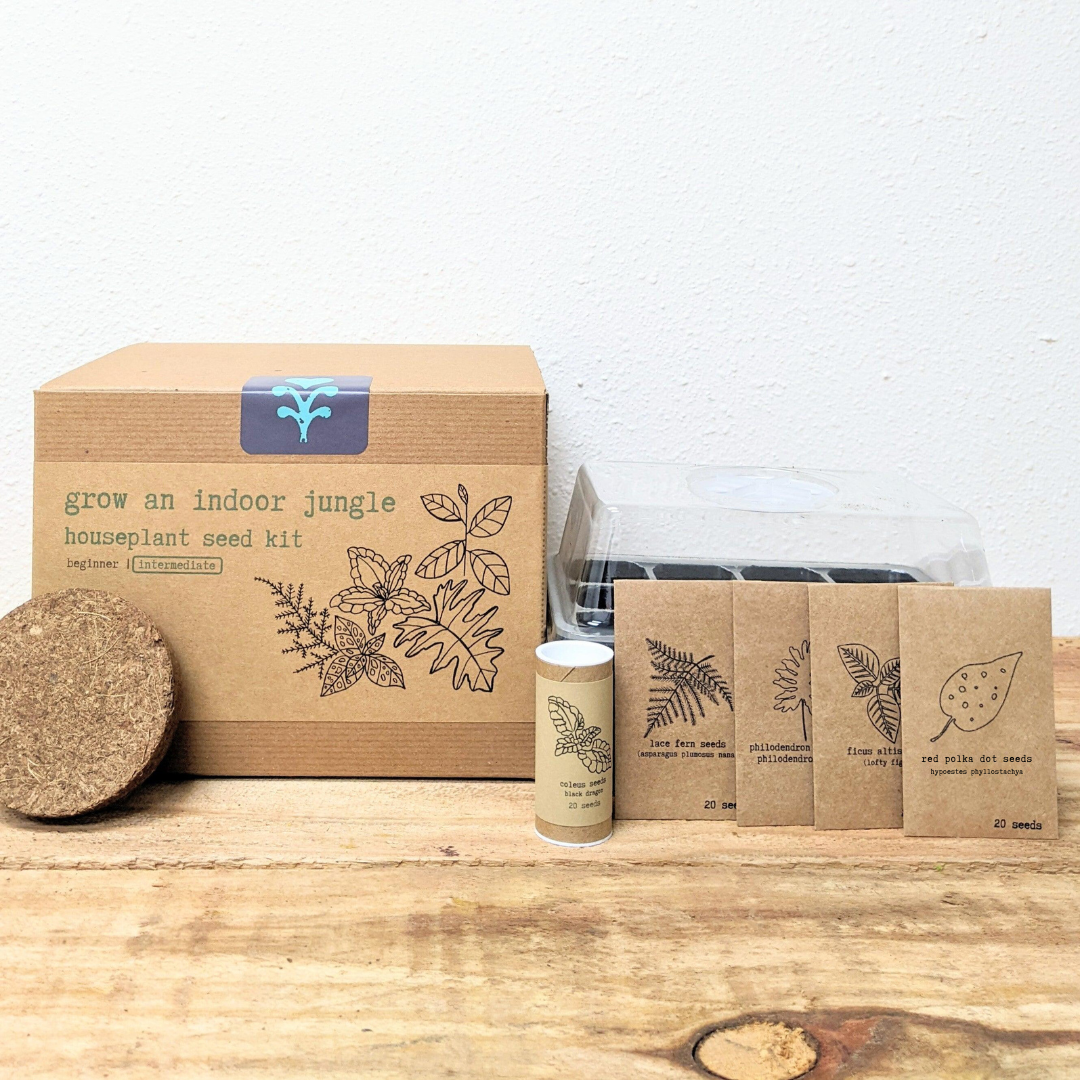 "Grow an Indoor Jungle" Houseplant Seed Kit