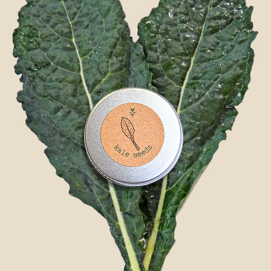 Organic Lancinato Kale Seeds