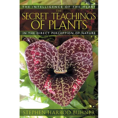 The Secret Teachings of Plants: The Intelligence of the Heart in the Direct Perception of Nature - Paperback