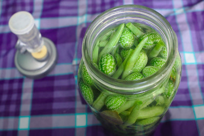 10 Cucamelon (Melothria Scabra) Seeds
