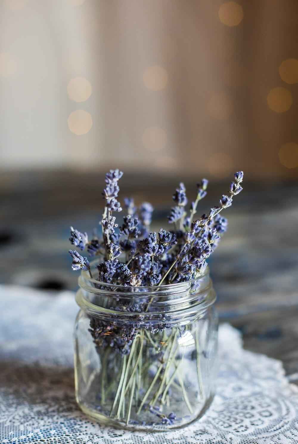 Lavender Seeds