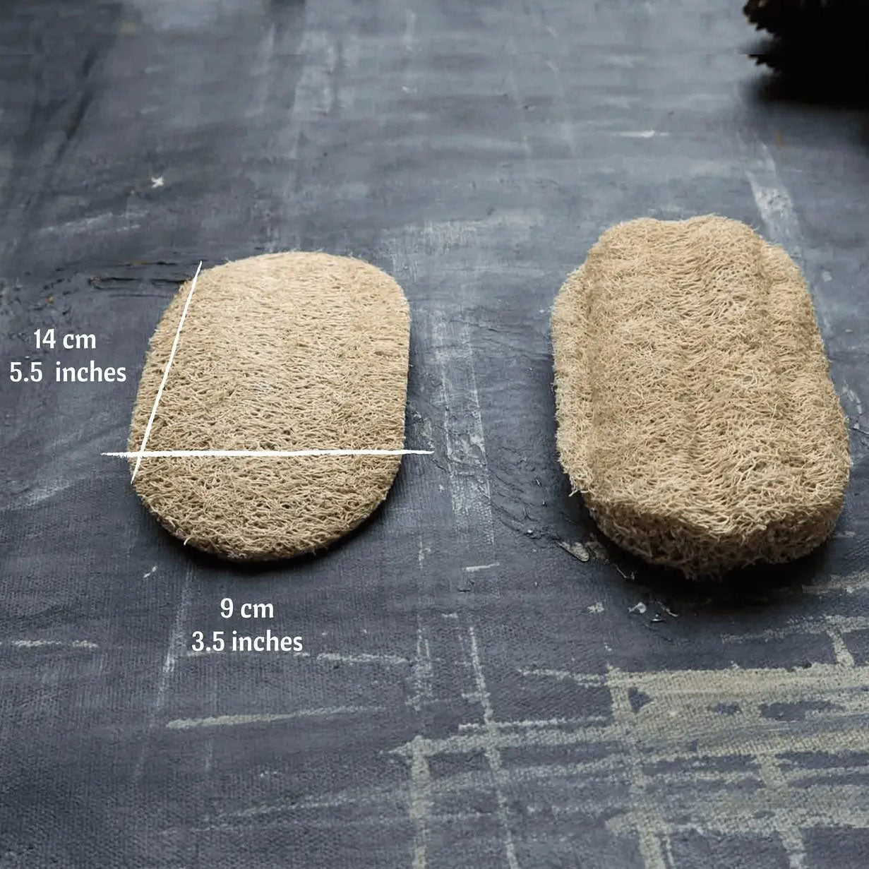 Natural Loofah Dishwashing Sponge – Set of 2