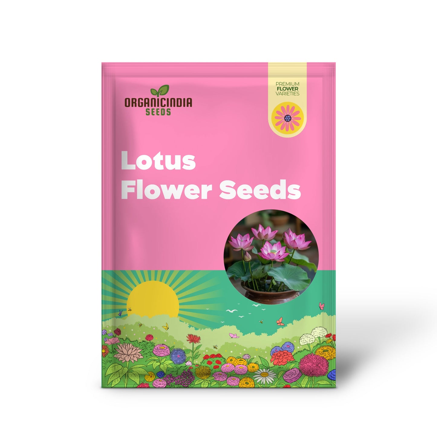 Pink Lotus Seeds – Exotic Water Garden Blooms for Ponds & Containers
