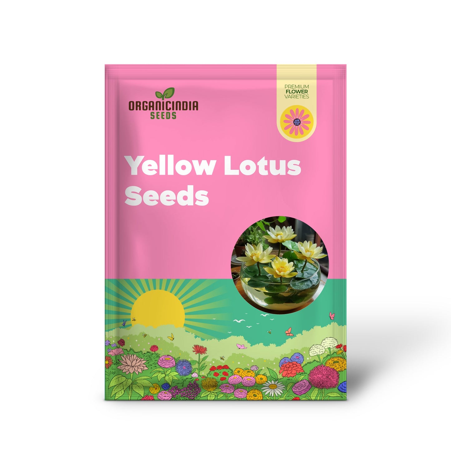 Yellow Lotus Seeds – Vibrant Aquatic Blooms for Pond & Water Gardens