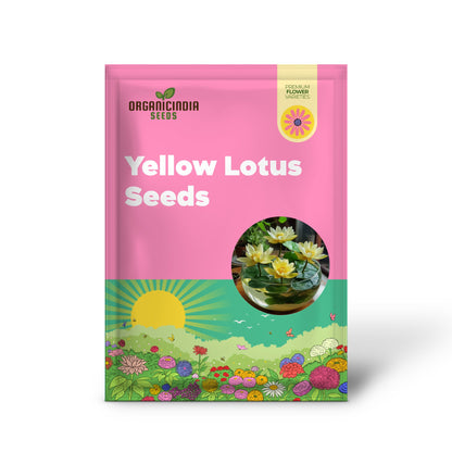 Yellow Lotus Seeds – Vibrant Aquatic Blooms for Pond & Water Gardens