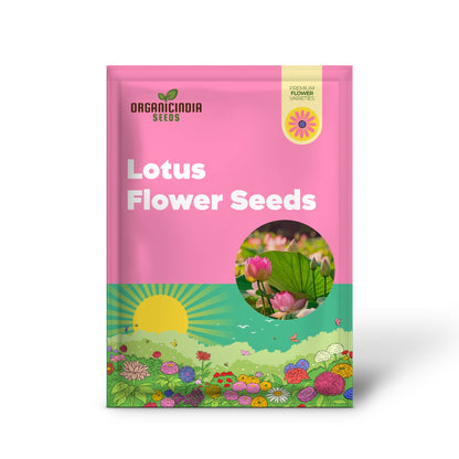 Lotus Flower Seeds