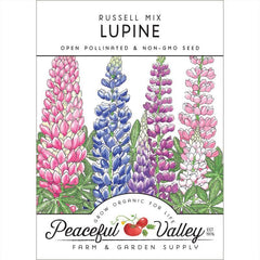 Russell Lupine Seed Pack