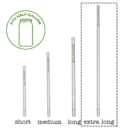 Individual Stainless Steel & Glass Straws for Mason Jars