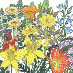 Mediterranean Dryland Wildflower Mix (1/4 lb)