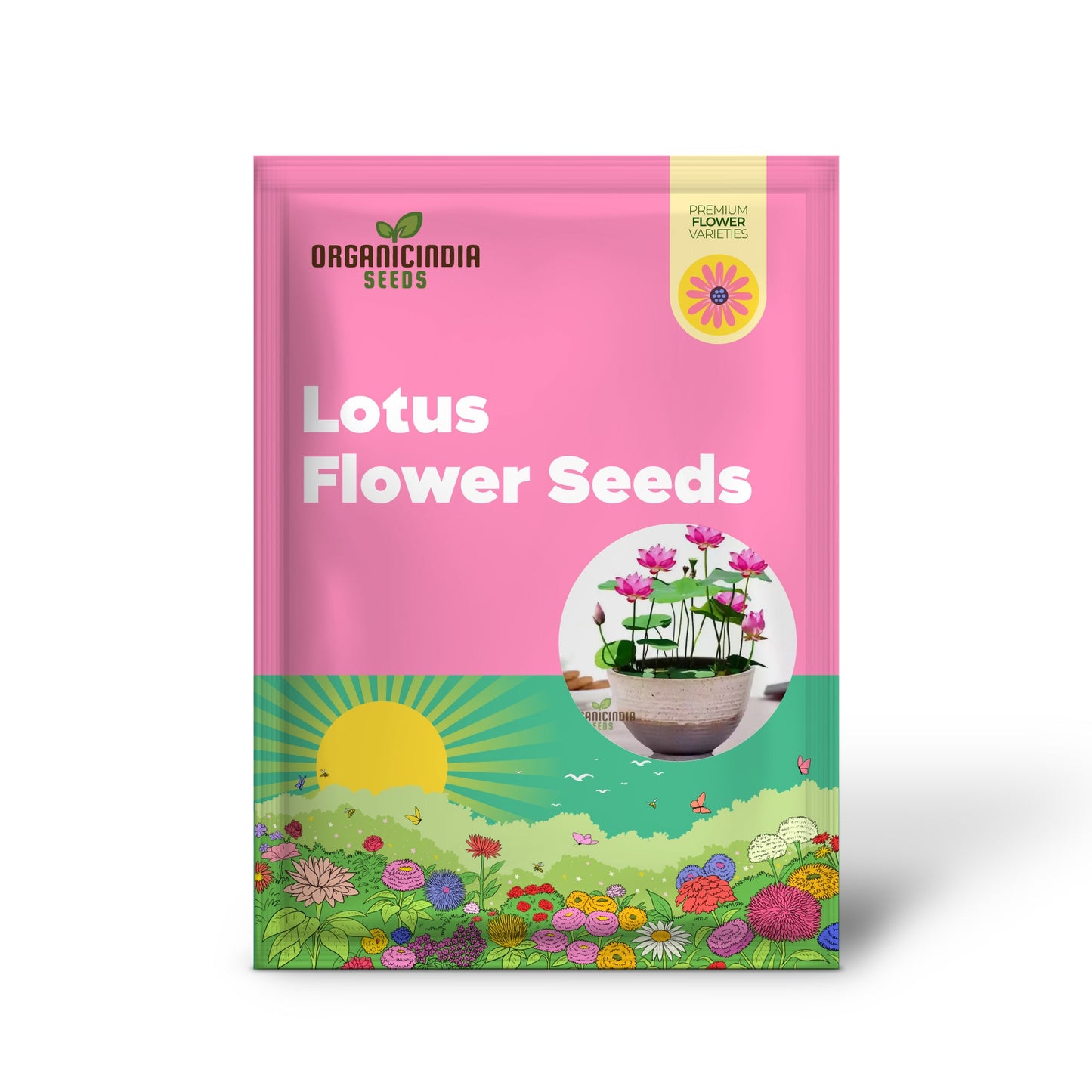 Mix Colour Lotus Flower Seeds