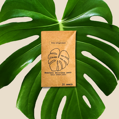 Monstera Deliciosa 