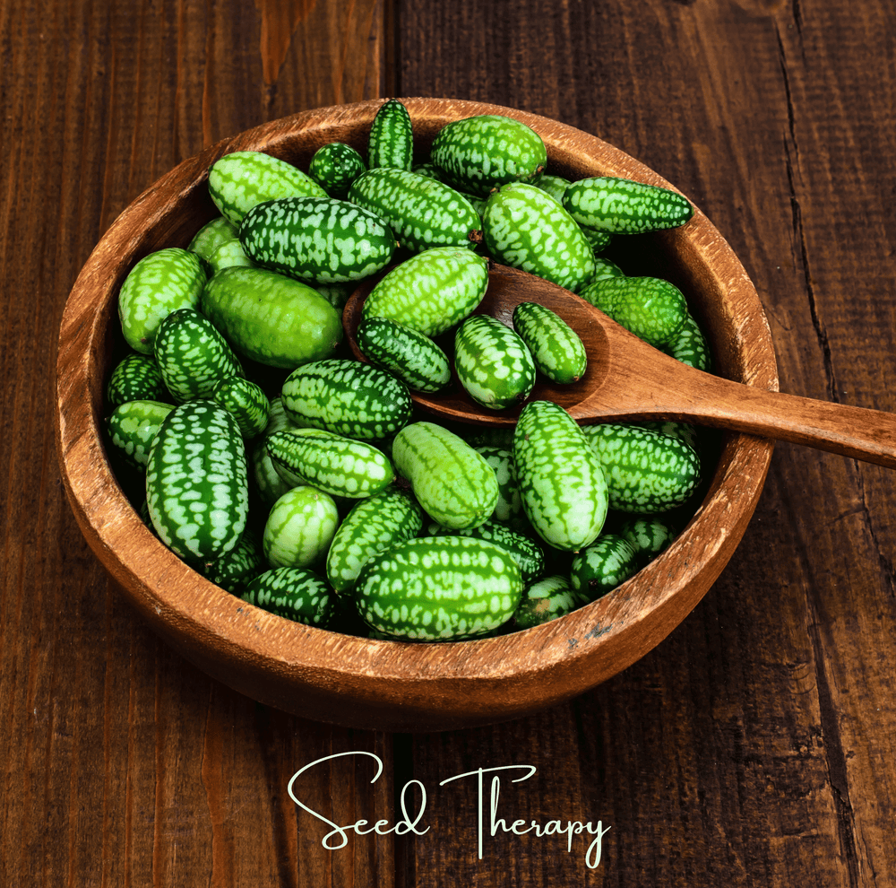 Mouse Melon/Cucamelon – 10 Seeds