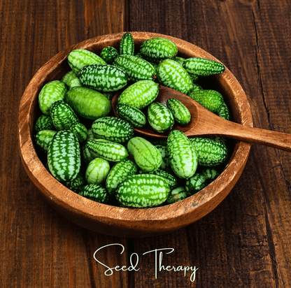 Mouse Melon/Cucamelon – 10 Seeds