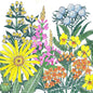 North American Clay Soil-Loving Native Wildflower Mix (1 lb)