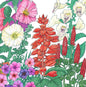 North American Hummingbird Garden Wildlower Mix (lb)