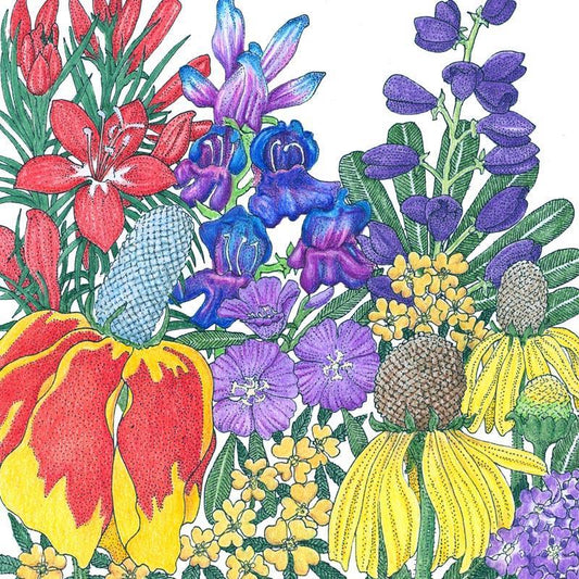 North American Perennial Wildflower Mix (1 lb)