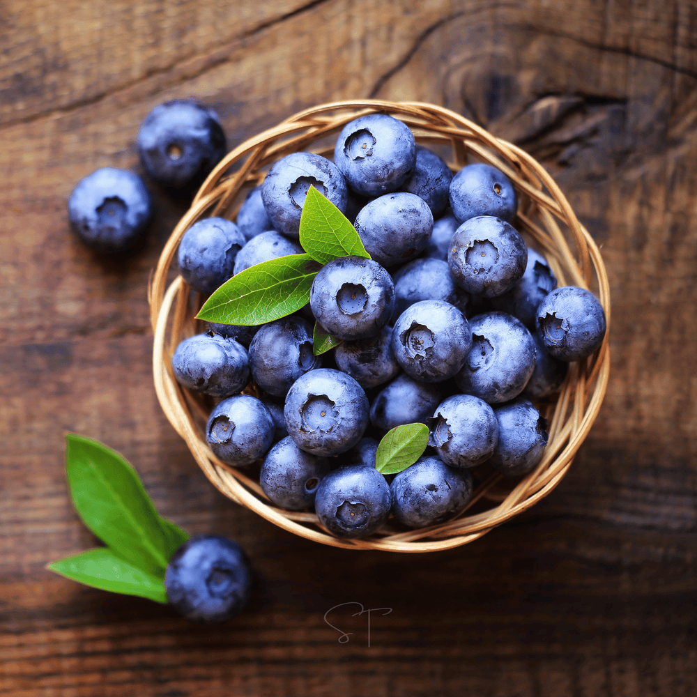 Northern Highbush Blueberry – 50 Seeds