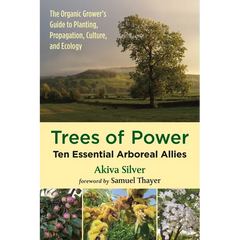 Trees of Power: Ten Essential Arboreal Allies - Paperback