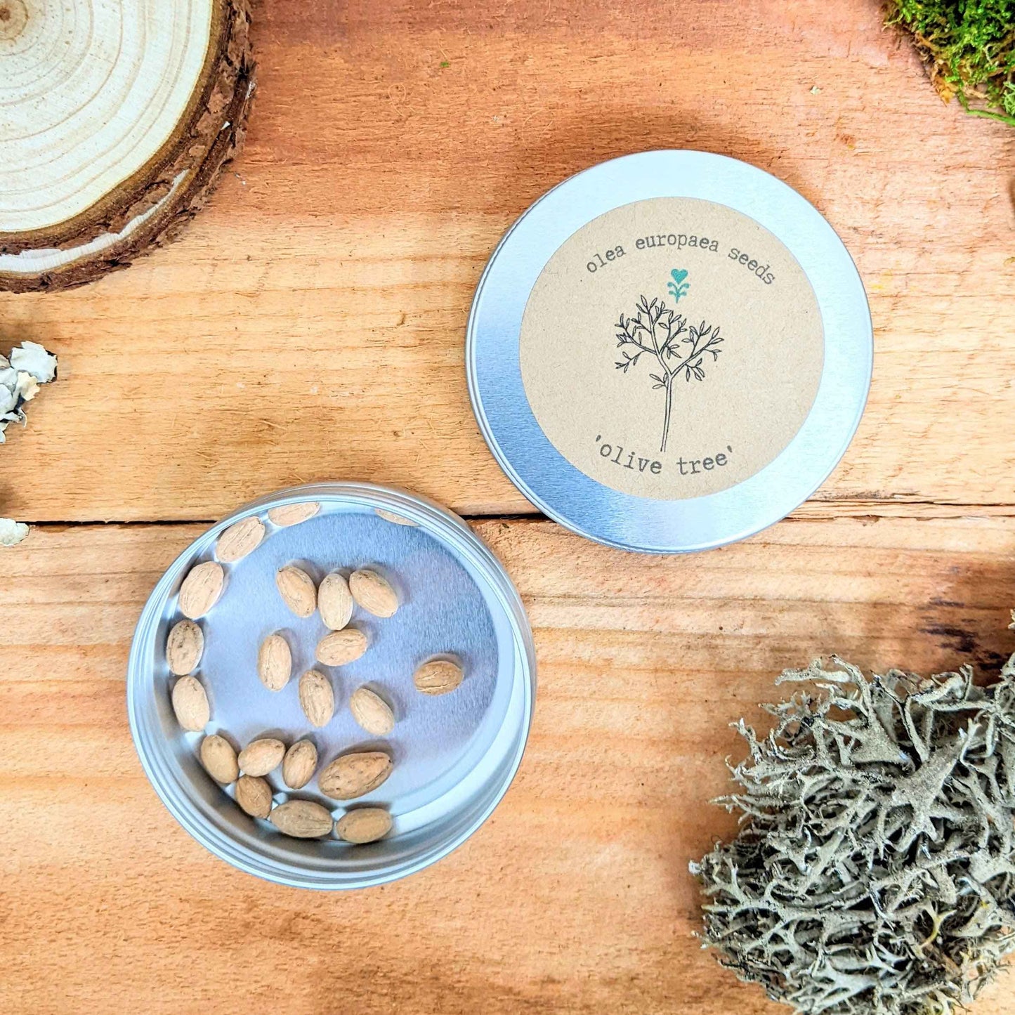 Olea Europaea 'Olive Tree' Seeds