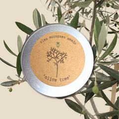 Olea Europaea 'Olive Tree' Seeds