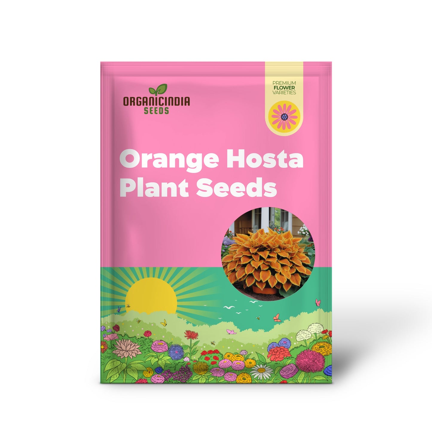Orange Hosta Plant Seeds