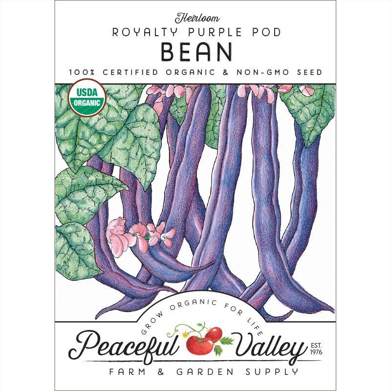 Royalty Purple Pod Bush Bean Seeds (Organic) – Haven Herbs