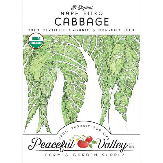 Napa Bilko Cabbage Seeds (Organic)